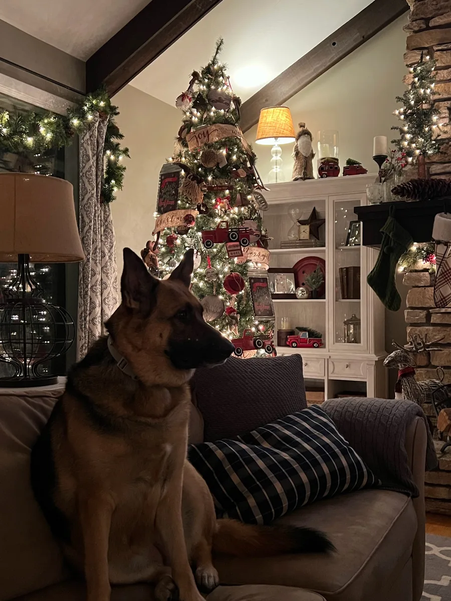 A detailed Christmas tree with vintage red-truck ornaments anchors a living room.